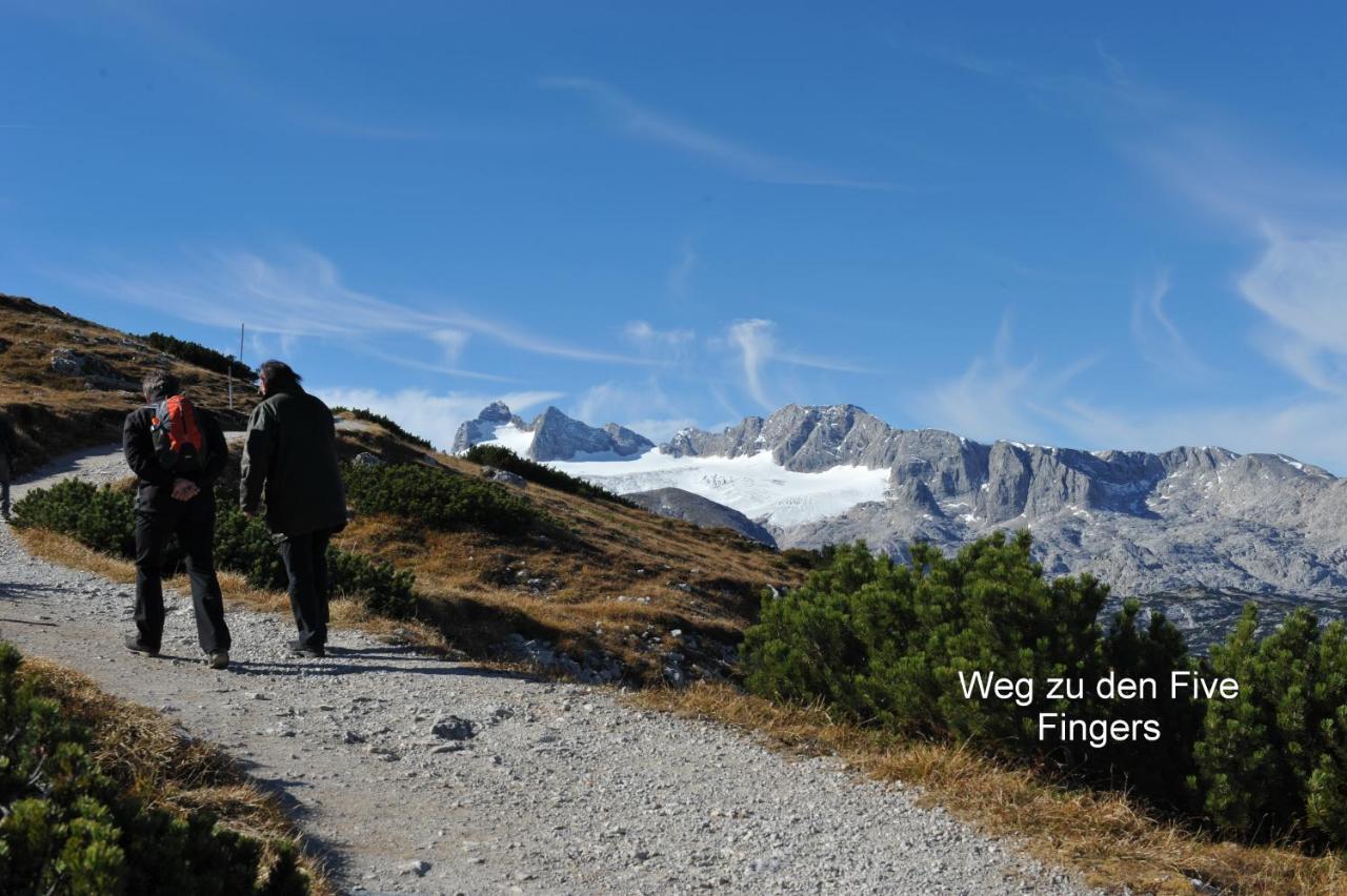 Haus Alpenblick Apartment Obertraun Bagian luar foto