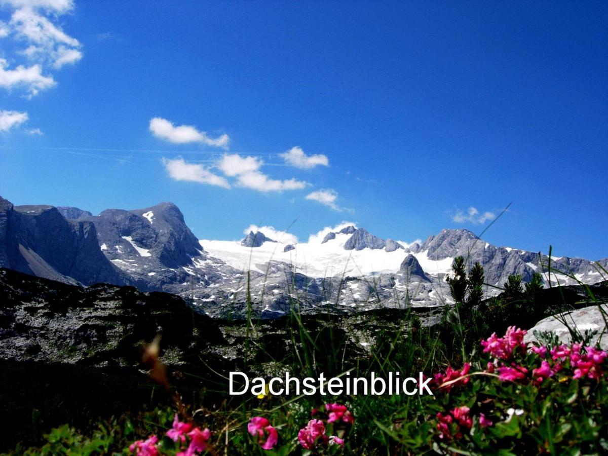 Haus Alpenblick Apartment Obertraun Bagian luar foto