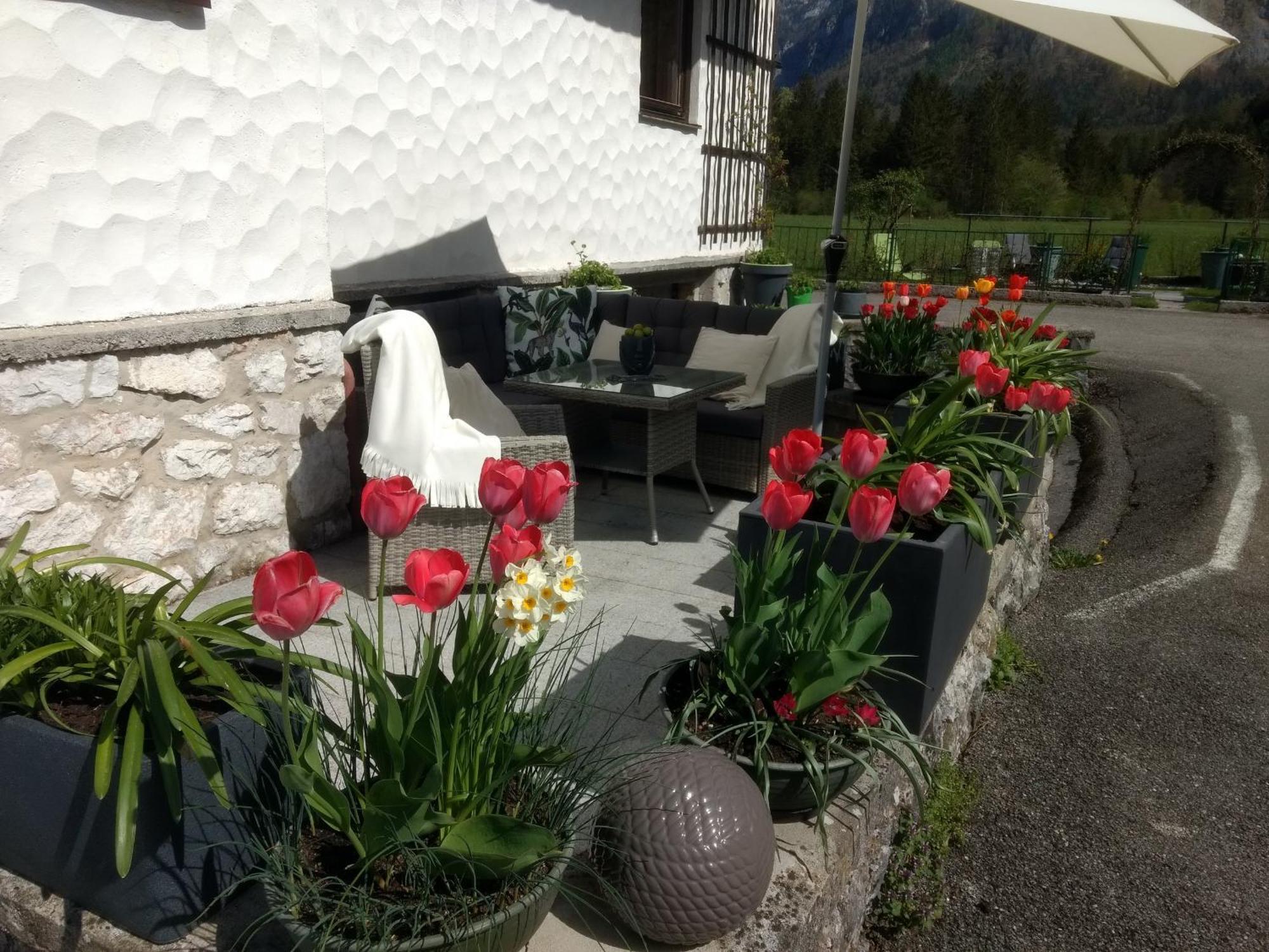 Haus Alpenblick Apartment Obertraun Bagian luar foto